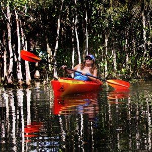 Meet your Posher, Beverly